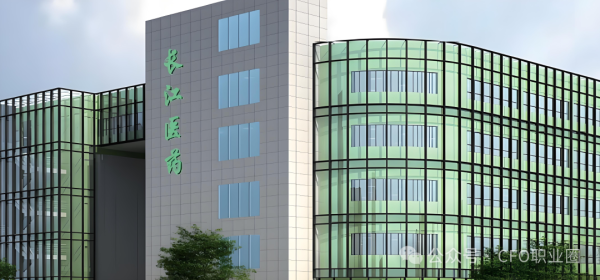罕见！A股公司3任财务总监被各罚200万！