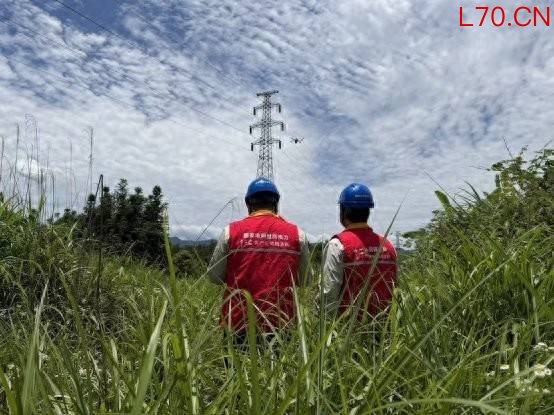 重庆秀山：精准巡检消除隐患 可靠电力护考无忧
